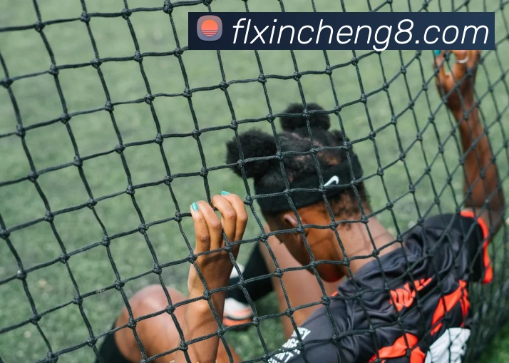 富丽新城官网APP 封面图